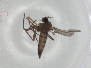  ( - BIOUG79628-C06)  @11 [ ] CreativeCommons - Attribution (2022) Centre for Biodiversity Genomics Centre for Biodiversity Genomics