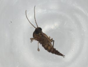  ( - BIOUG79628-H02)  @11 [ ] CreativeCommons - Attribution (2022) Centre for Biodiversity Genomics Centre for Biodiversity Genomics