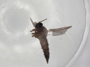  ( - BIOUG79629-A08)  @11 [ ] CreativeCommons - Attribution (2022) Centre for Biodiversity Genomics Centre for Biodiversity Genomics