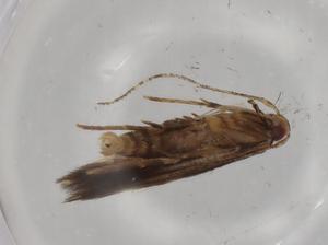  ( - BIOUG79649-C04)  @11 [ ] CreativeCommons - Attribution (2022) Centre for Biodiversity Genomics Centre for Biodiversity Genomics