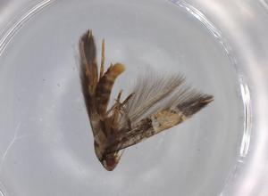  ( - BIOUG79649-H08)  @11 [ ] CreativeCommons - Attribution (2022) Centre for Biodiversity Genomics Centre for Biodiversity Genomics