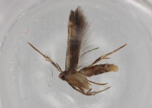  ( - BIOUG79651-G03)  @11 [ ] CreativeCommons - Attribution (2022) Centre for Biodiversity Genomics Centre for Biodiversity Genomics