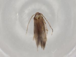  ( - BIOUG79697-D10)  @11 [ ] CreativeCommons - Attribution (2022) Centre for Biodiversity Genomics Centre for Biodiversity Genomics