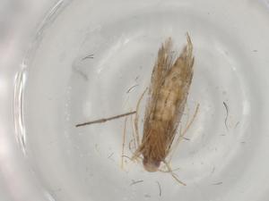  ( - BIOUG79719-C06)  @11 [ ] CreativeCommons - Attribution (2022) Centre for Biodiversity Genomics Centre for Biodiversity Genomics