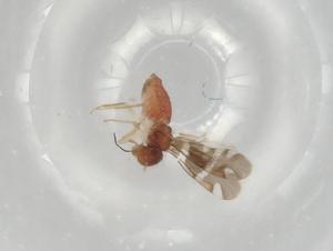  ( - BIOUG80033-D07)  @11 [ ] CreativeCommons - Attribution (2022) Centre for Biodiversity Genomics Centre for Biodiversity Genomics