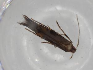  ( - BIOUG80092-F10)  @11 [ ] CreativeCommons - Attribution (2022) Centre for Biodiversity Genomics Centre for Biodiversity Genomics