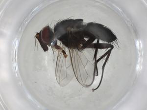  ( - CBG-A03416-B03)  @11 [ ] CreativeCommons - Attribution (2023) Centre for Biodiversity Genomics Centre for Biodiversity Genomics