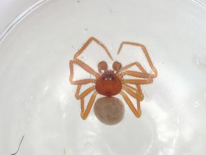  ( - CBG-A04389-E01)  @11 [ ] CreativeCommons - Attribution (2023) Centre for Biodiversity Genomics Centre for Biodiversity Genomics