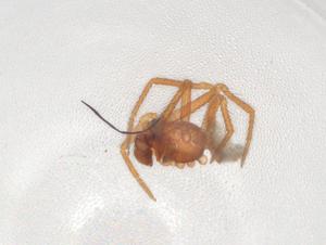  ( - CBG-A05973-B01)  @11 [ ] CreativeCommons - Attribution (2023) Centre for Biodiversity Genomics Centre for Biodiversity Genomics