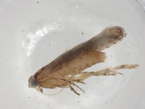  ( - CBG-A06907-E06)  @11 [ ] CreativeCommons - Attribution (2023) Centre for Biodiversity Genomics Centre for Biodiversity Genomics