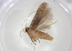  ( - CBG-A06907-F02)  @11 [ ] CreativeCommons - Attribution (2023) Centre for Biodiversity Genomics Centre for Biodiversity Genomics