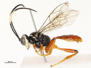  ( - CBG-A65326-E08)  @11 [ ] CreativeCommons - Attribution Share - Alike (2025) CBG Photography Group Centre for Biodiversity Genomics