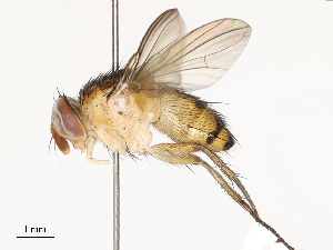  ( - CBG-A67897-A03)  @11 [ ] CreativeCommons - Attribution Share - Alike (2025) CBG Photography Group Centre for Biodiversity Genomics