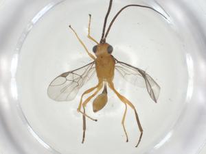  ( - CBG-A34759-B06)  @11 [ ] CreativeCommons - Attribution Share - Alike (2024) Centre for Biodiversity Genomics Centre for Biodiversity Genomics