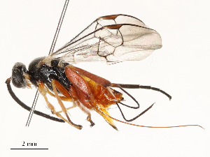  ( - CBG-A51912-F09)  @11 [ ] CreativeCommons - Attribution Share - Alike (2024) CBG Photography Group Centre for Biodiversity Genomics