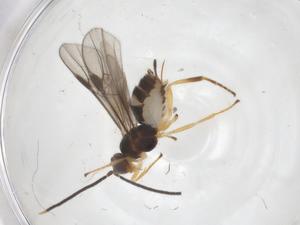  ( - CBG-A53570-H07)  @11 [ ] CreativeCommons - Attribution Share - Alike (2024) Centre for Biodiversity Genomics Centre for Biodiversity Genomics