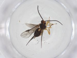  ( - CBG-A54344-F09)  @11 [ ] CreativeCommons - Attribution Share - Alike (2024) Centre for Biodiversity Genomics Centre for Biodiversity Genomics