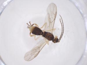  ( - CBG-A55283-C06)  @11 [ ] CreativeCommons - Attribution Share - Alike (2024) Centre for Biodiversity Genomics Centre for Biodiversity Genomics