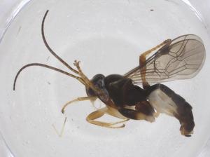  ( - CBG-A56359-F10)  @11 [ ] CreativeCommons - Attribution Share - Alike (2024) Centre for Biodiversity Genomics Centre for Biodiversity Genomics