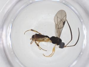  ( - CBG-A56360-F04)  @11 [ ] CreativeCommons - Attribution Share - Alike (2024) Centre for Biodiversity Genomics Centre for Biodiversity Genomics