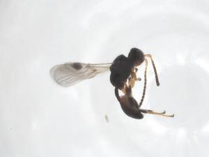  ( - CBG-A58347-H05)  @11 [ ] CreativeCommons - Attribution Share - Alike (2024) Centre for Biodiversity Genomics Centre for Biodiversity Genomics