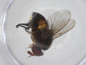  ( - CBG-A58375-E09)  @11 [ ] CreativeCommons - Attribution Share - Alike (2024) Centre for Biodiversity Genomics Centre for Biodiversity Genomics