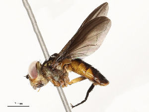  ( - CBG-A58586-F08)  @11 [ ] CreativeCommons - Attribution Share - Alike (2024) CBG Photography Group Centre for Biodiversity Genomics