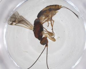  ( - CBG-A58975-C05)  @11 [ ] CreativeCommons - Attribution Share - Alike (2024) Centre for Biodiversity Genomics Centre for Biodiversity Genomics