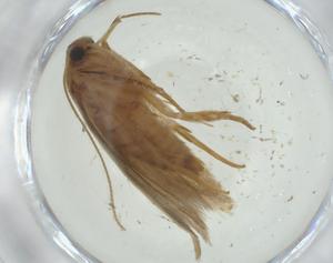  ( - CBG-A36382-C08)  @11 [ ] CreativeCommons - Attribution Share - Alike (2024) Centre for Biodiversity Genomics Centre for Biodiversity Genomics