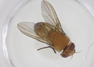  ( - CBG-A43378-B05)  @11 [ ] CreativeCommons - Attribution Share - Alike (2024) Centre for Biodiversity Genomics Centre for Biodiversity Genomics