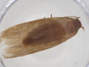  ( - CBG-A41348-C06)  @11 [ ] CreativeCommons - Attribution Share - Alike (2024) Centre for Biodiversity Genomics Centre for Biodiversity Genomics