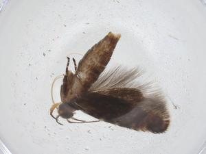  ( - CBG-A41350-E05)  @11 [ ] CreativeCommons - Attribution Share - Alike (2024) Centre for Biodiversity Genomics Centre for Biodiversity Genomics