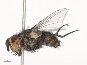  ( - CBG-A41809-F10)  @11 [ ] CreativeCommons - Attribution Share - Alike (2024) CBG Photography Group Centre for Biodiversity Genomics