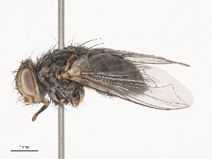  ( - CBG-A41780-E11)  @11 [ ] CreativeCommons - Attribution Share - Alike (2024) CBG Photography Group Centre for Biodiversity Genomics