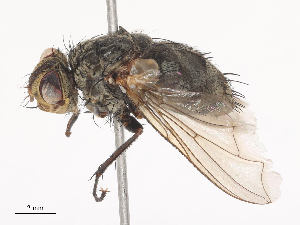  ( - CBG-A40208-C07)  @11 [ ] CreativeCommons - Attribution Share - Alike (2024) CBG Photography Group Centre for Biodiversity Genomics