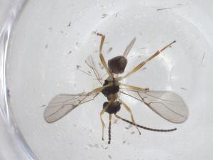  ( - CBG-A43122-F08)  @11 [ ] CreativeCommons - Attribution Share - Alike (2024) Centre for Biodiversity Genomics Centre for Biodiversity Genomics