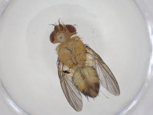  ( - CBG-A43143-C09)  @11 [ ] CreativeCommons - Attribution Share - Alike (2024) Centre for Biodiversity Genomics Centre for Biodiversity Genomics