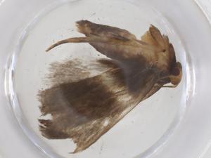  ( - CBG-A41232-C02)  @11 [ ] CreativeCommons - Attribution Share - Alike (2024) Centre for Biodiversity Genomics Centre for Biodiversity Genomics