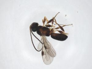  ( - CBG-A42526-F07)  @11 [ ] CreativeCommons - Attribution Share - Alike (2024) Centre for Biodiversity Genomics Centre for Biodiversity Genomics