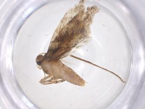  ( - CBG-A41428-A09)  @11 [ ] CreativeCommons - Attribution Share - Alike (2024) Centre for Biodiversity Genomics Centre for Biodiversity Genomics