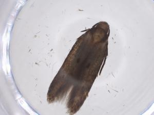  ( - CBG-A43314-F10)  @11 [ ] CreativeCommons - Attribution Share - Alike (2024) Centre for Biodiversity Genomics Centre for Biodiversity Genomics