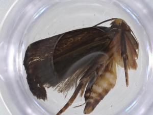  ( - CBG-A45792-C04)  @11 [ ] CreativeCommons - Attribution Share - Alike (2024) Centre for Biodiversity Genomics Centre for Biodiversity Genomics