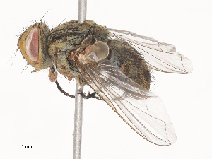  ( - CBG-A46879-D09)  @11 [ ] CreativeCommons - Attribution Share - Alike (2024) CBG Photography Group Centre for Biodiversity Genomics
