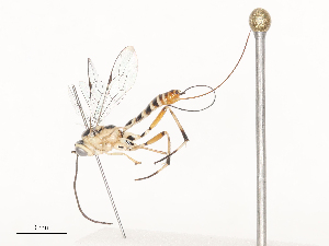  ( - CBG-A44354-C02)  @11 [ ] CreativeCommons - Attribution Share - Alike (2024) CBG Photography Group Centre for Biodiversity Genomics
