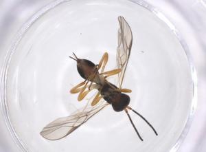  ( - CBG-A45378-H08)  @11 [ ] CreativeCommons - Attribution Share - Alike (2024) Centre for Biodiversity Genomics Centre for Biodiversity Genomics