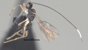  ( - CCDB-38206-A09)  @11 [ ] CreativeCommons - Attribution Share Alike (2024) CBG Photography Group Centre for Biodiversity Genomics