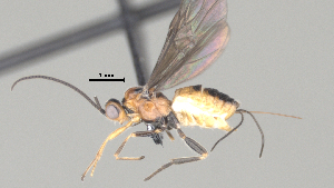  ( - CCDB-38206-F01)  @11 [ ] CreativeCommons - Attribution Share Alike (2024) CBG Photography Group Centre for Biodiversity Genomics