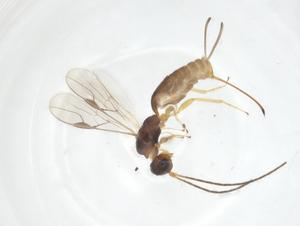  ( - CCDB-46599-A09)  @11 [ ] CreativeCommons - Attribution Share - Alike (2023) Centre for Biodiversity Genomics Centre for Biodiversity Genomics