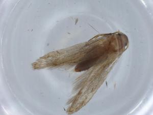  ( - BIOUG67089-H02)  @11 [ ] CreativeCommons - Attribution (2021) Centre for Biodiversity Genomics Centre for Biodiversity Genomics