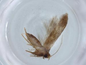  ( - BIOUG67426-A07)  @11 [ ] CreativeCommons - Attribution (2021) Centre for Biodiversity Genomics Centre for Biodiversity Genomics